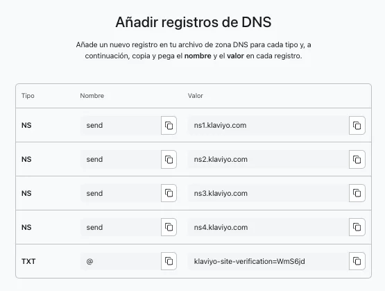 Ejemplo de registros NS y TXT generados por Klaviyo